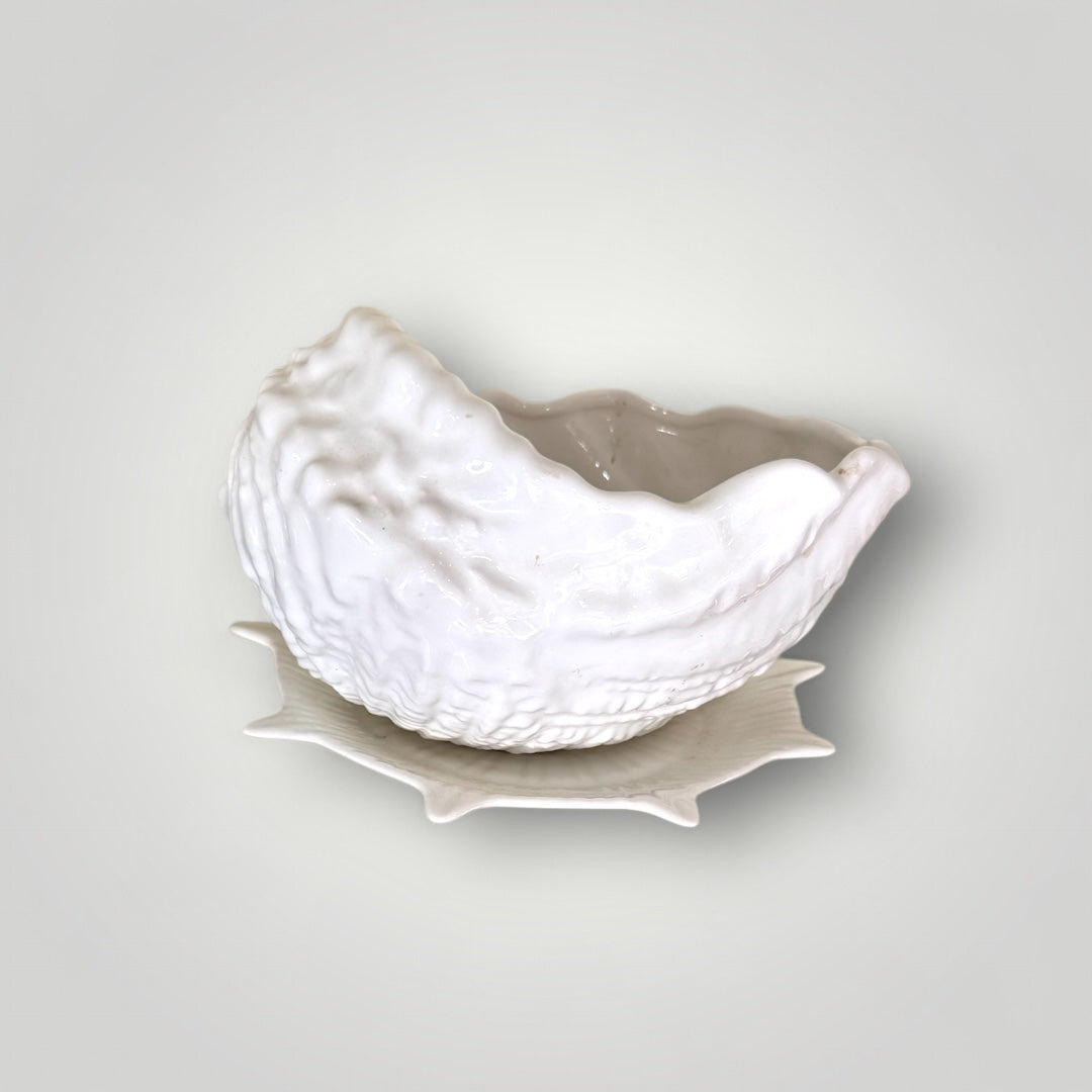 Sea Shell Planter Bowl
