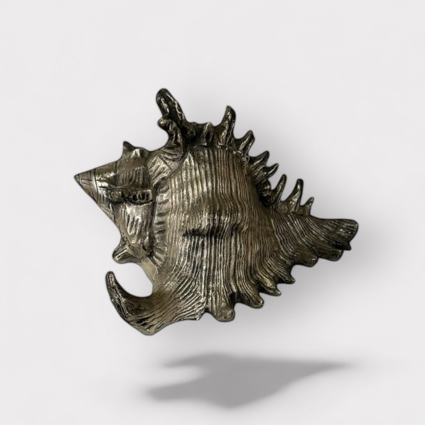 Pewter Shell (silver color)