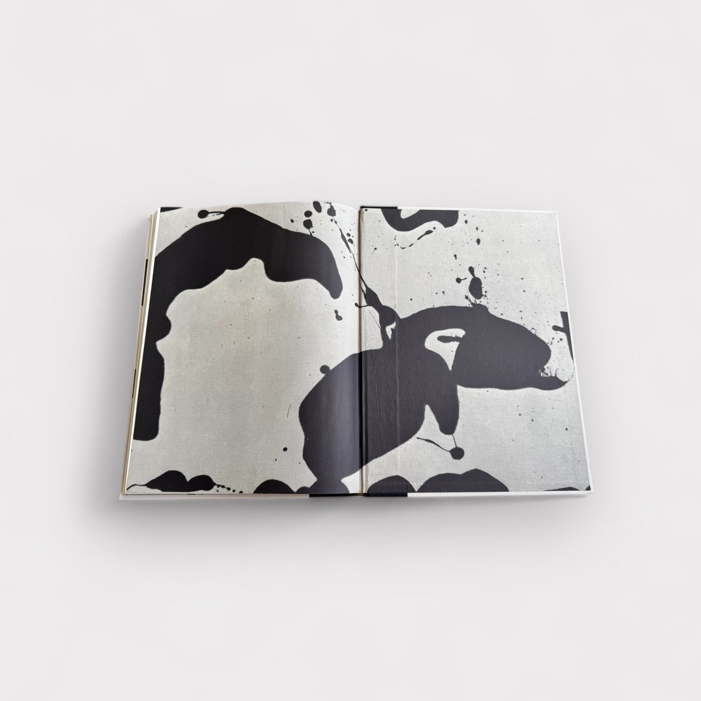 American Painting 1900-1970 Book