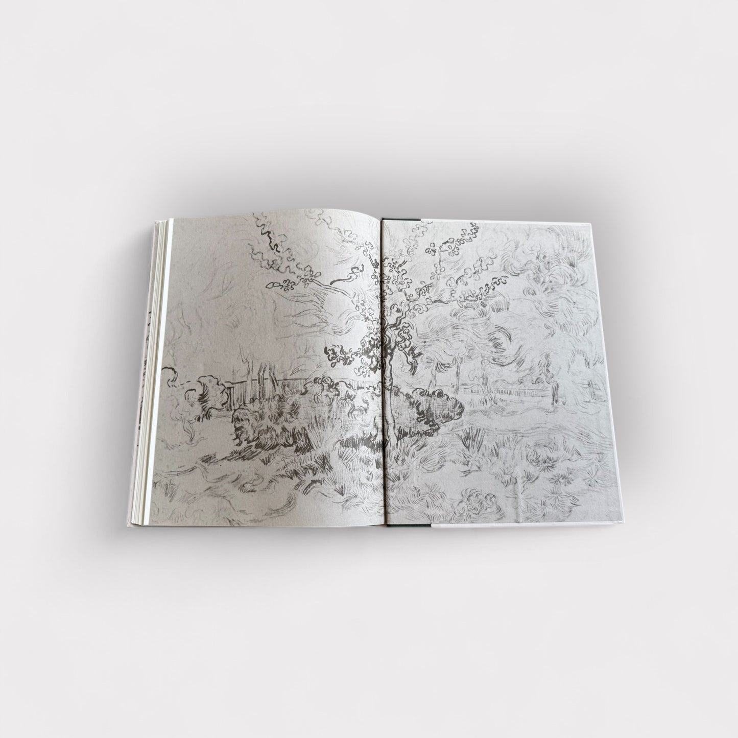 The World of Van Gogh 1853-1890 Book