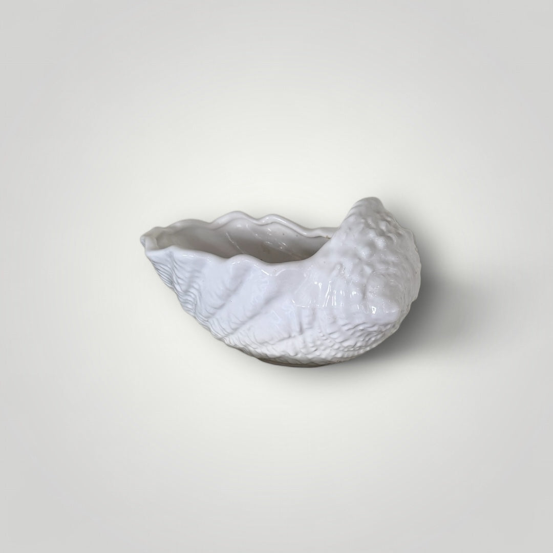Sea Shell Planter Bowl