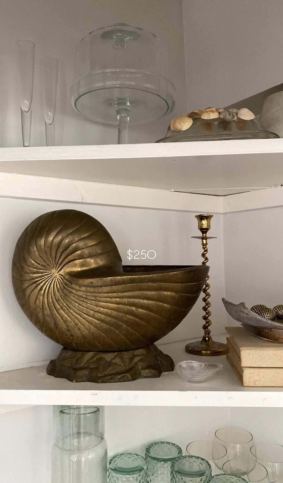Brass Nautilus Planter