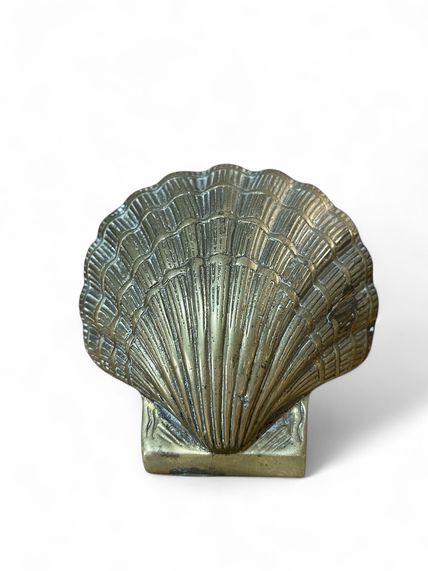Shell Bookend (single)