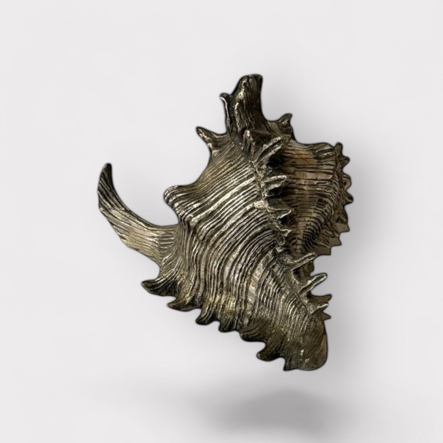 Pewter Shell (silver color)