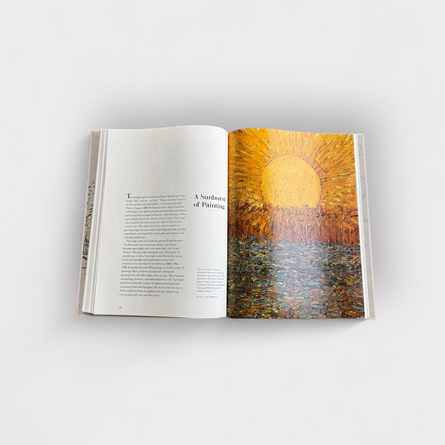 The World of Van Gogh 1853-1890 Book