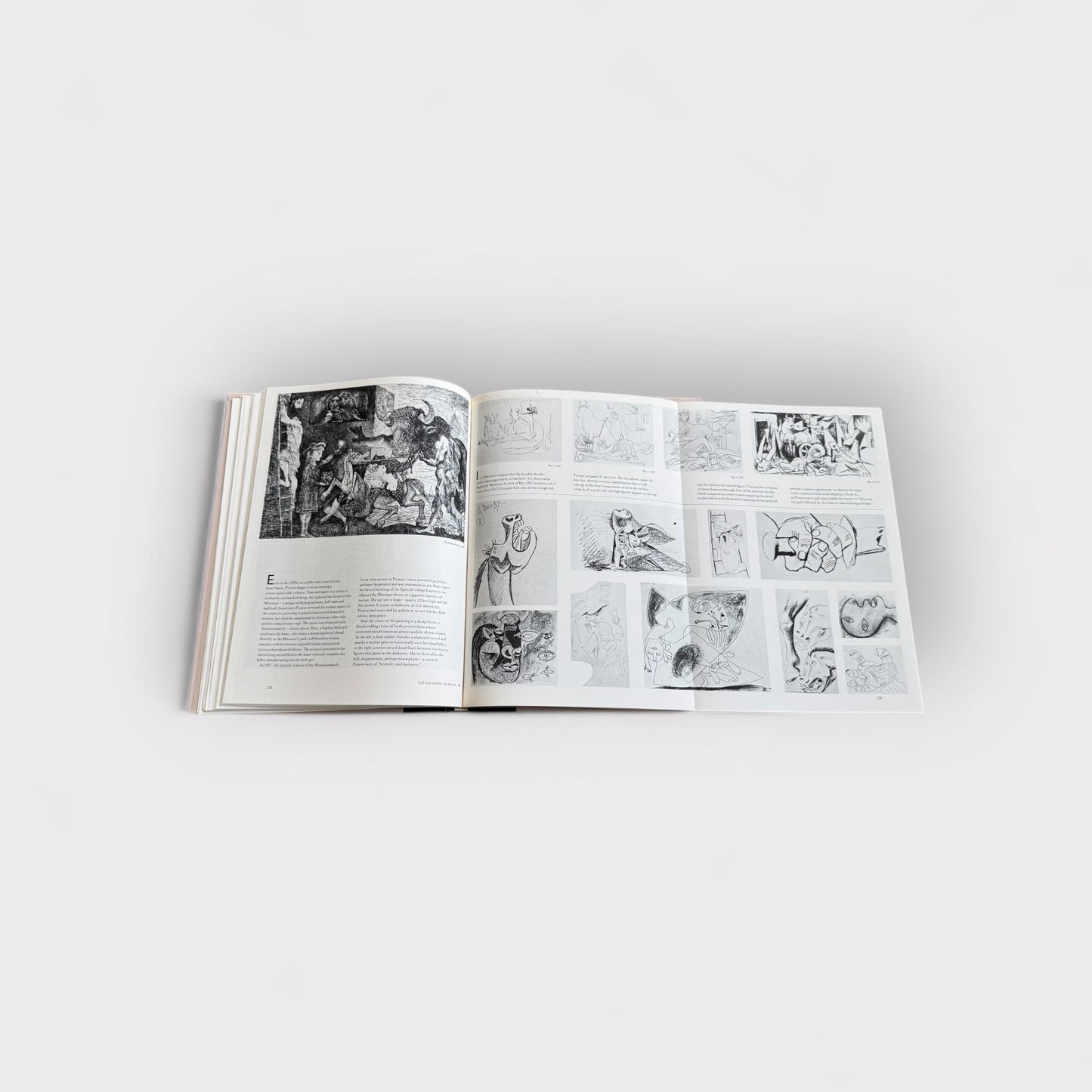 The World of Picasso 1881-1973 Book
