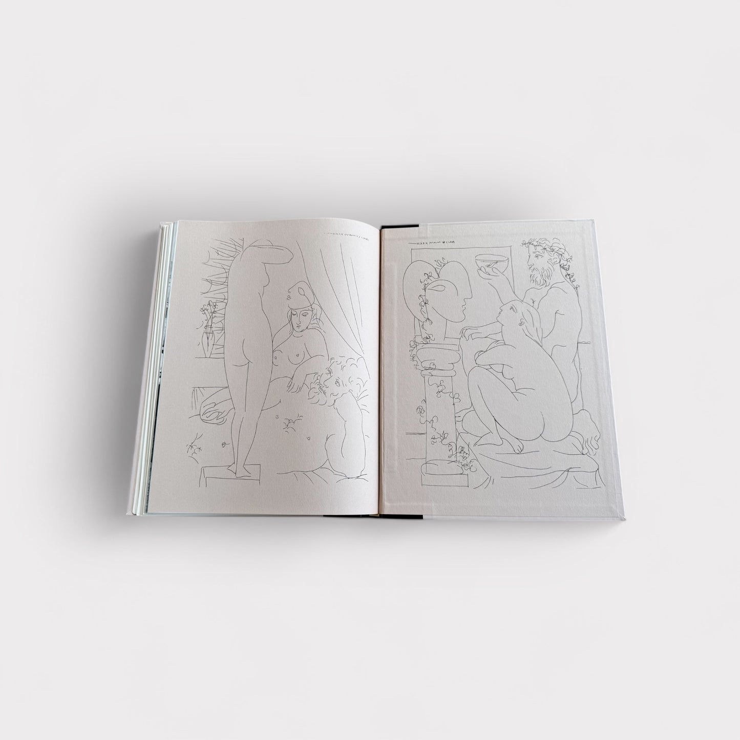 The World of Picasso 1881-1973 Book