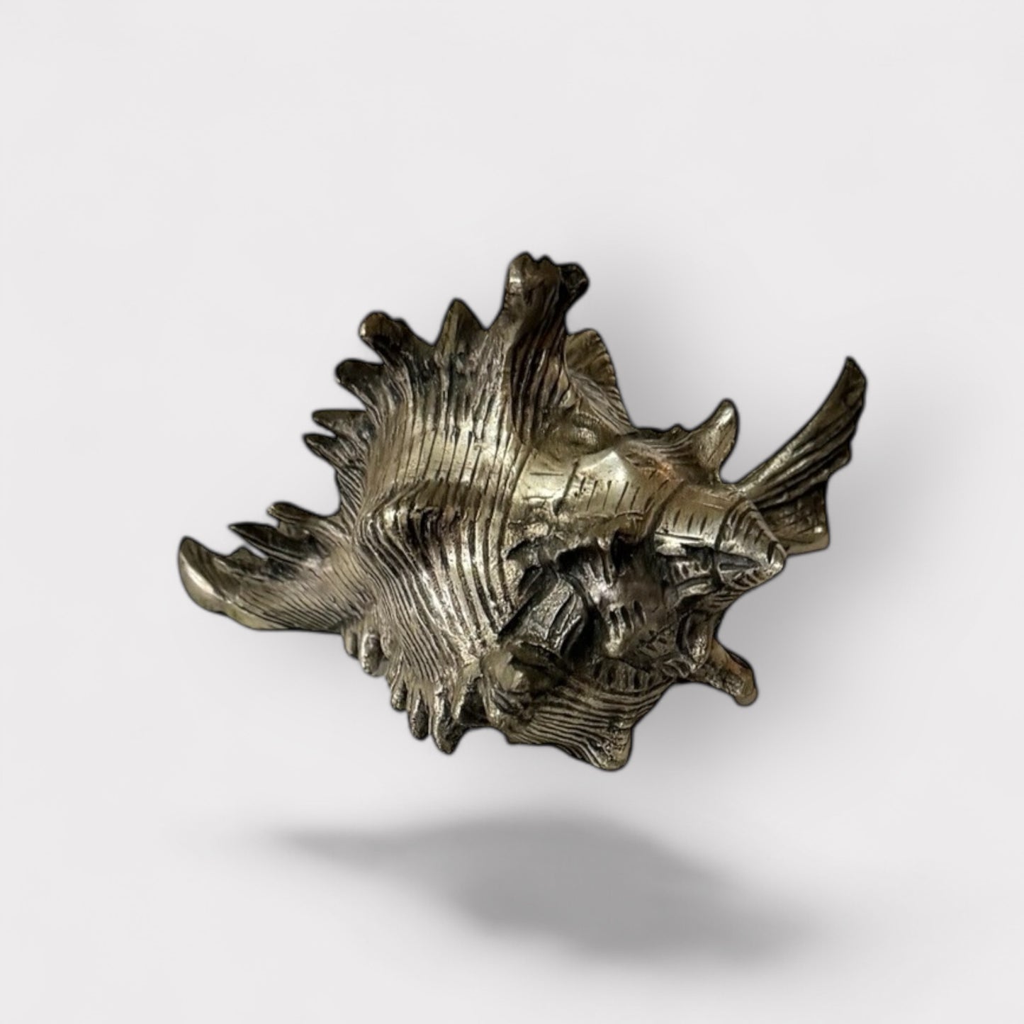 Pewter Shell (silver color)