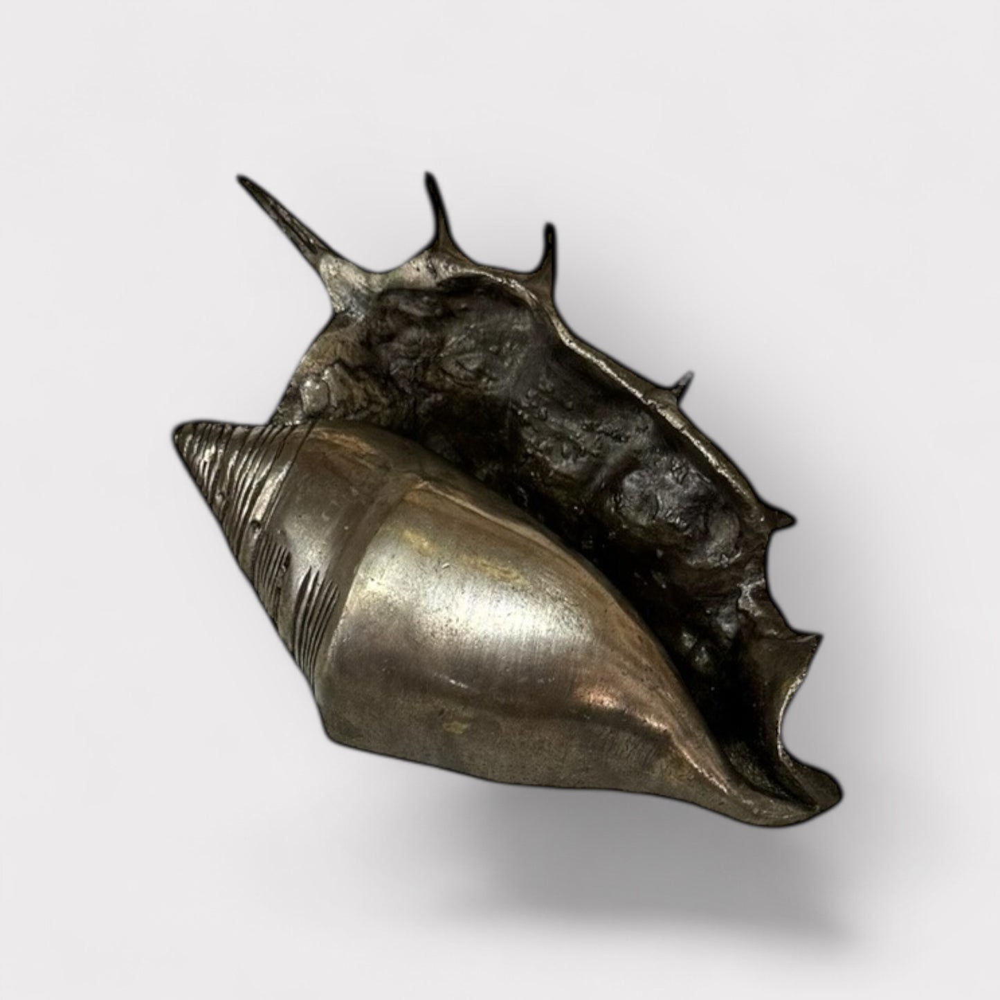 Pewter Conch Shell (silver)