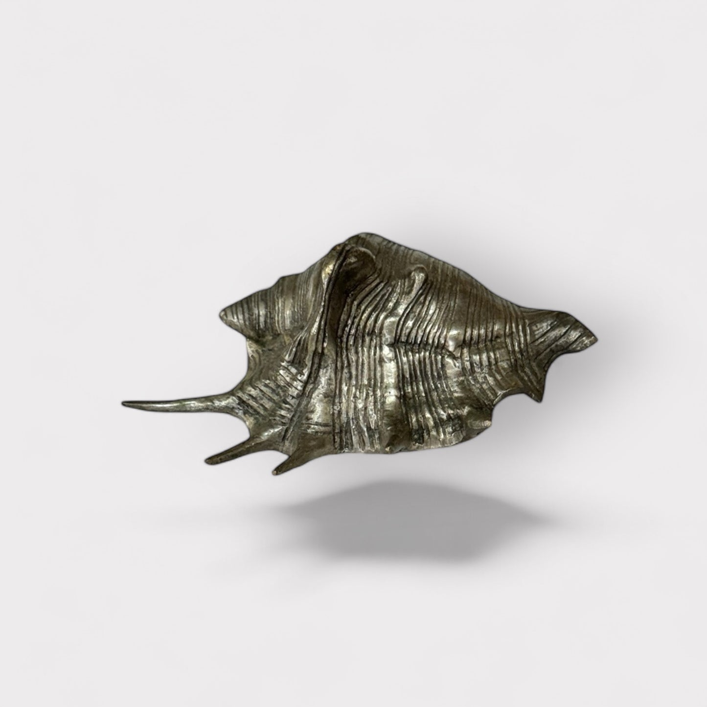Pewter Conch Shell (silver)