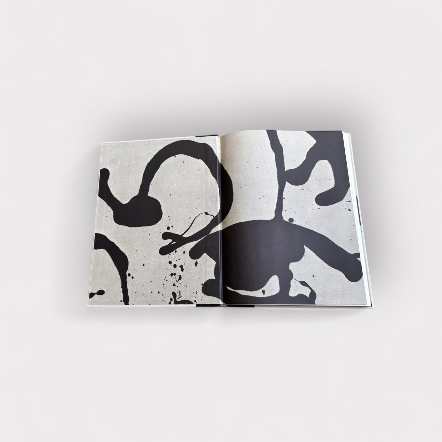 American Painting 1900-1970 Book