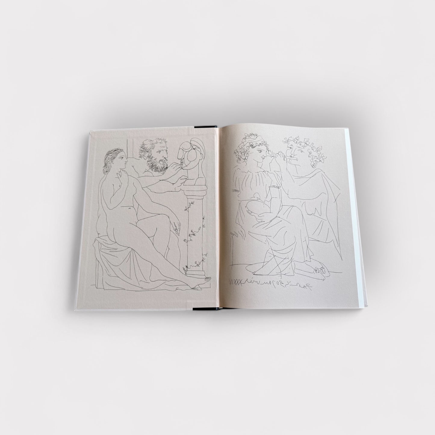 The World of Picasso 1881-1973 Book