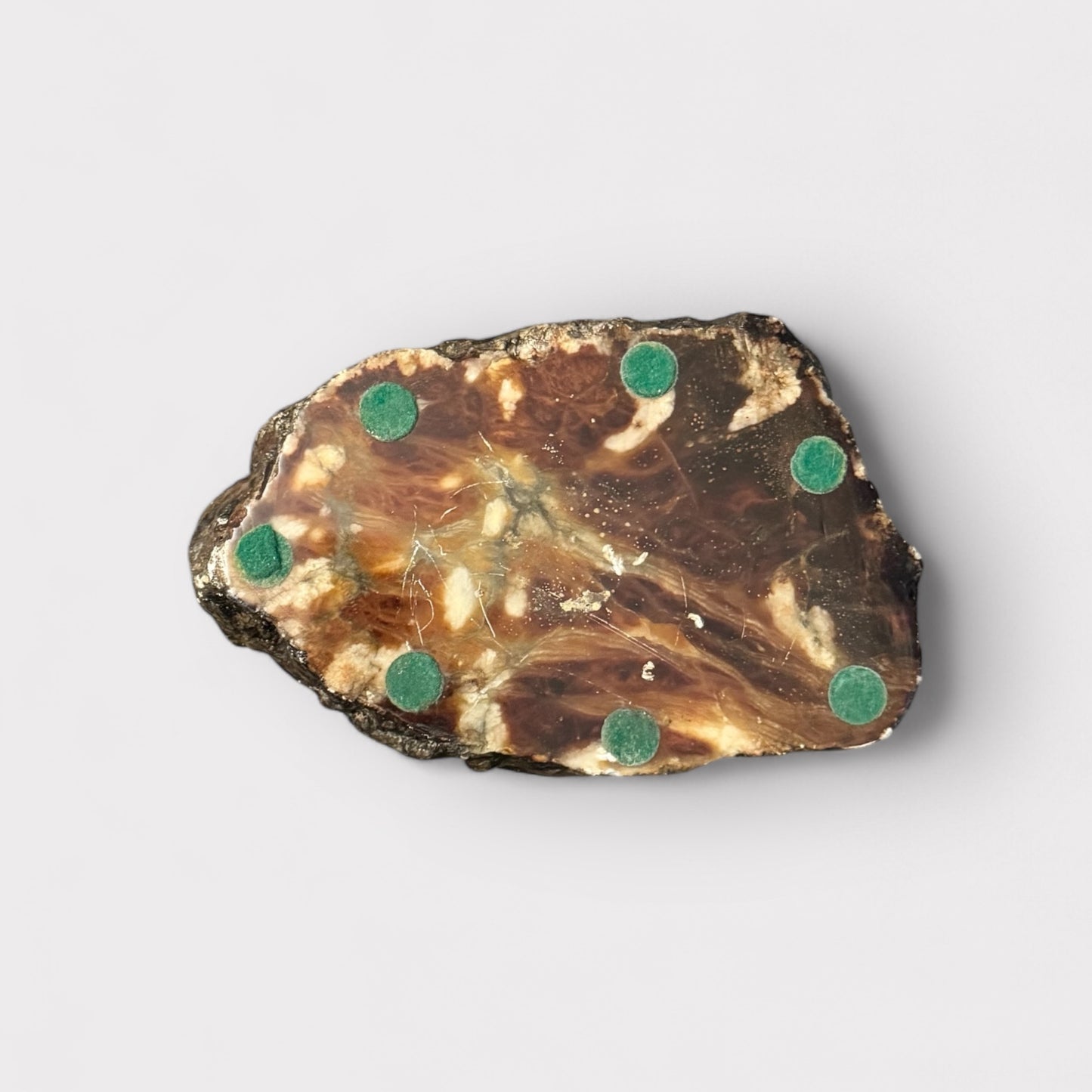 Polished Petrified Wood Ashtray