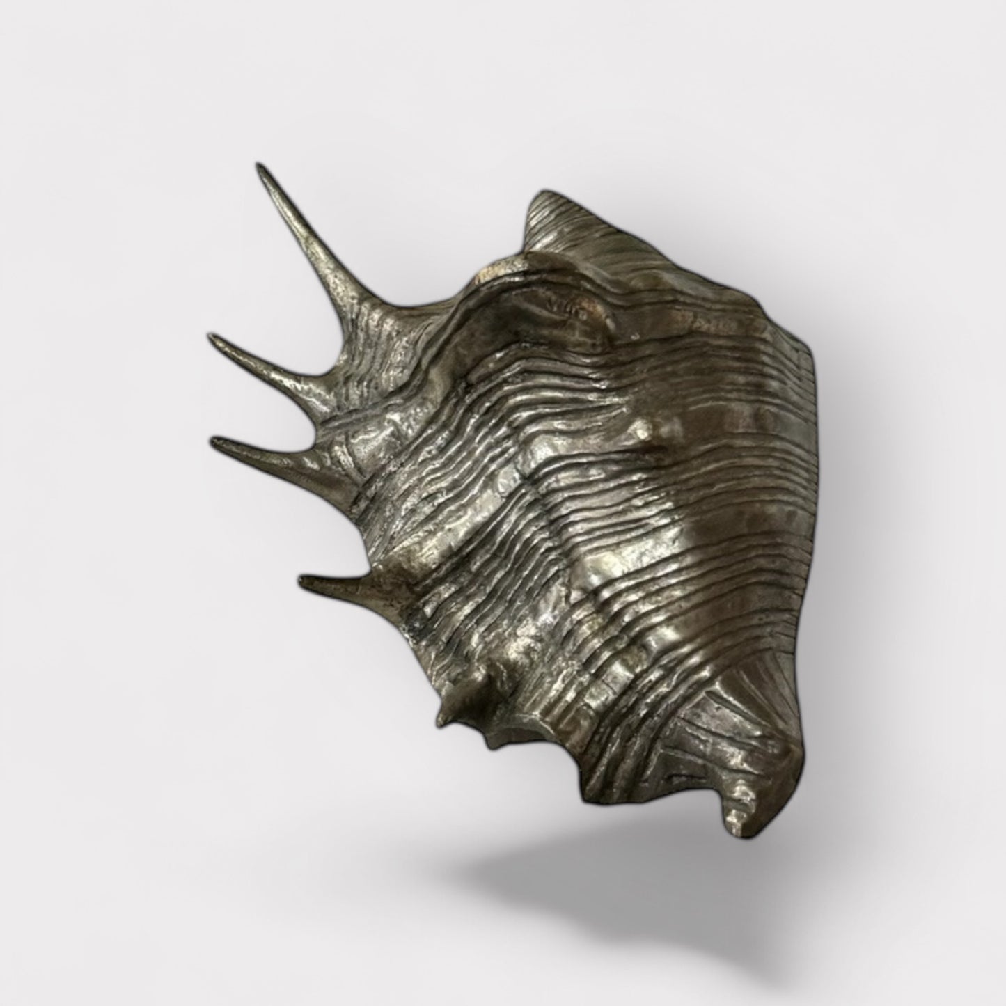 Pewter Conch Shell (silver)