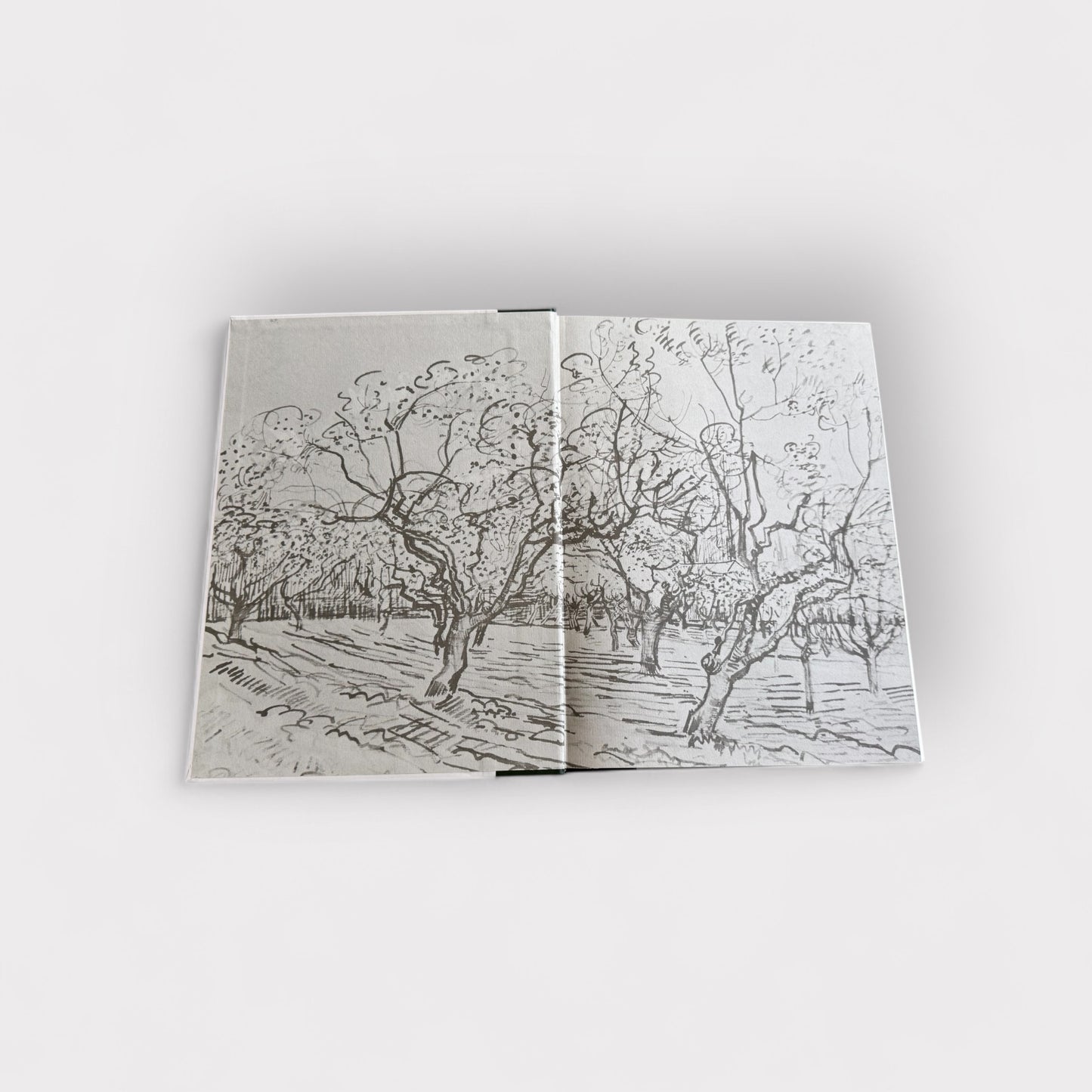 The World of Van Gogh 1853-1890 Book