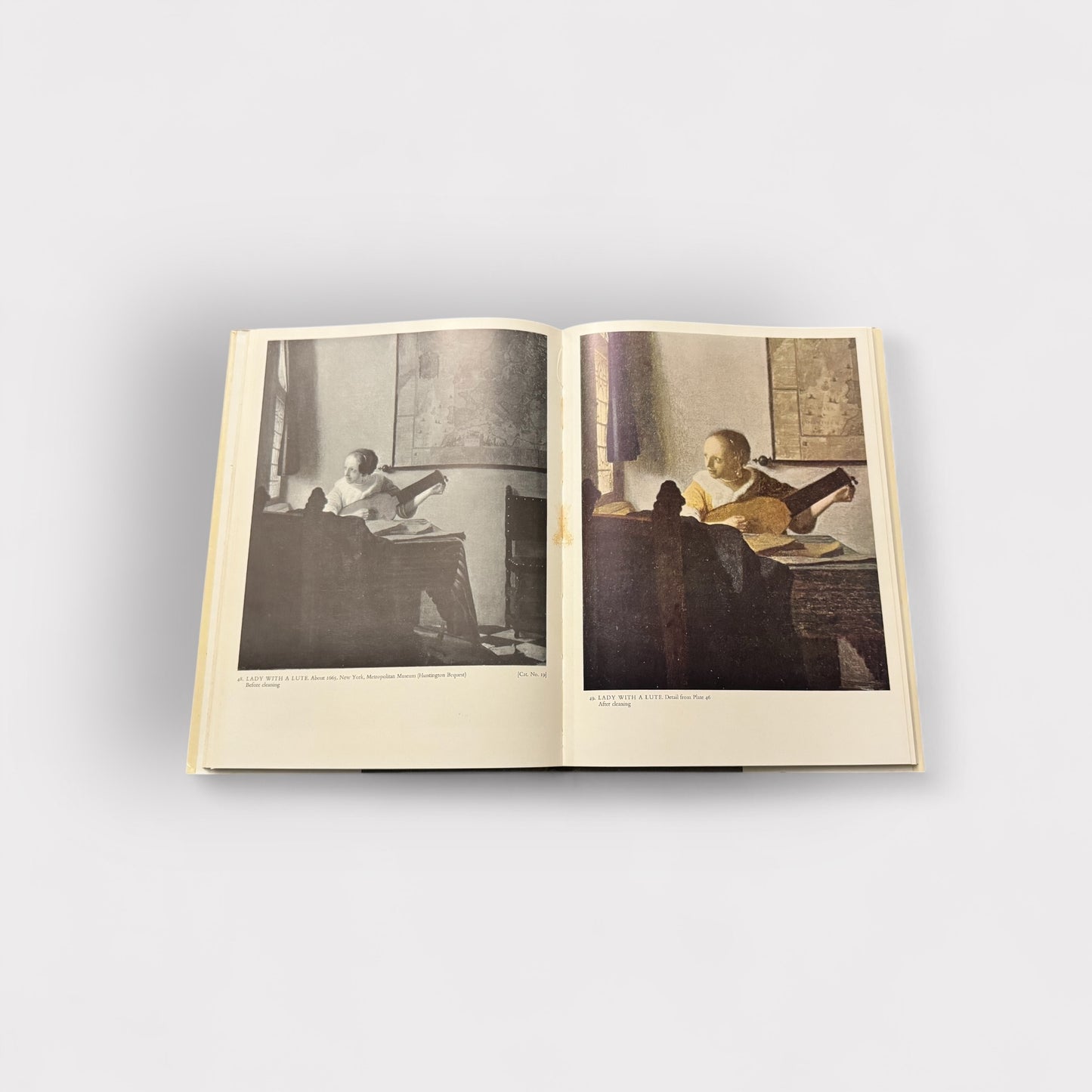 Vermeer Phaidon Book