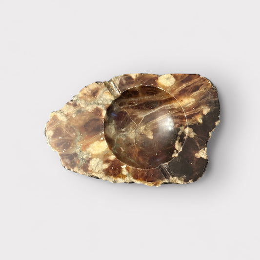 Polished Petrified Wood Ashtray